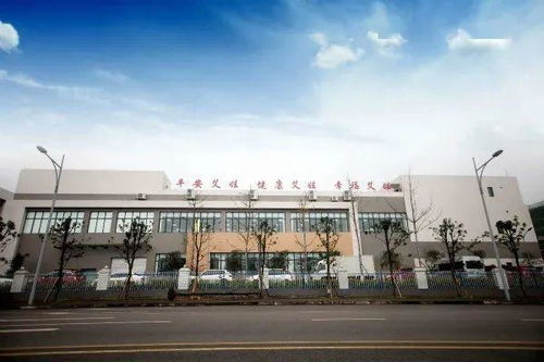 大數(shù)據(jù)驅(qū)動(dòng)智慧升級(jí)，重慶高新區(qū)信息咨詢服務(wù)企業(yè)引領(lǐng)智造新篇章
